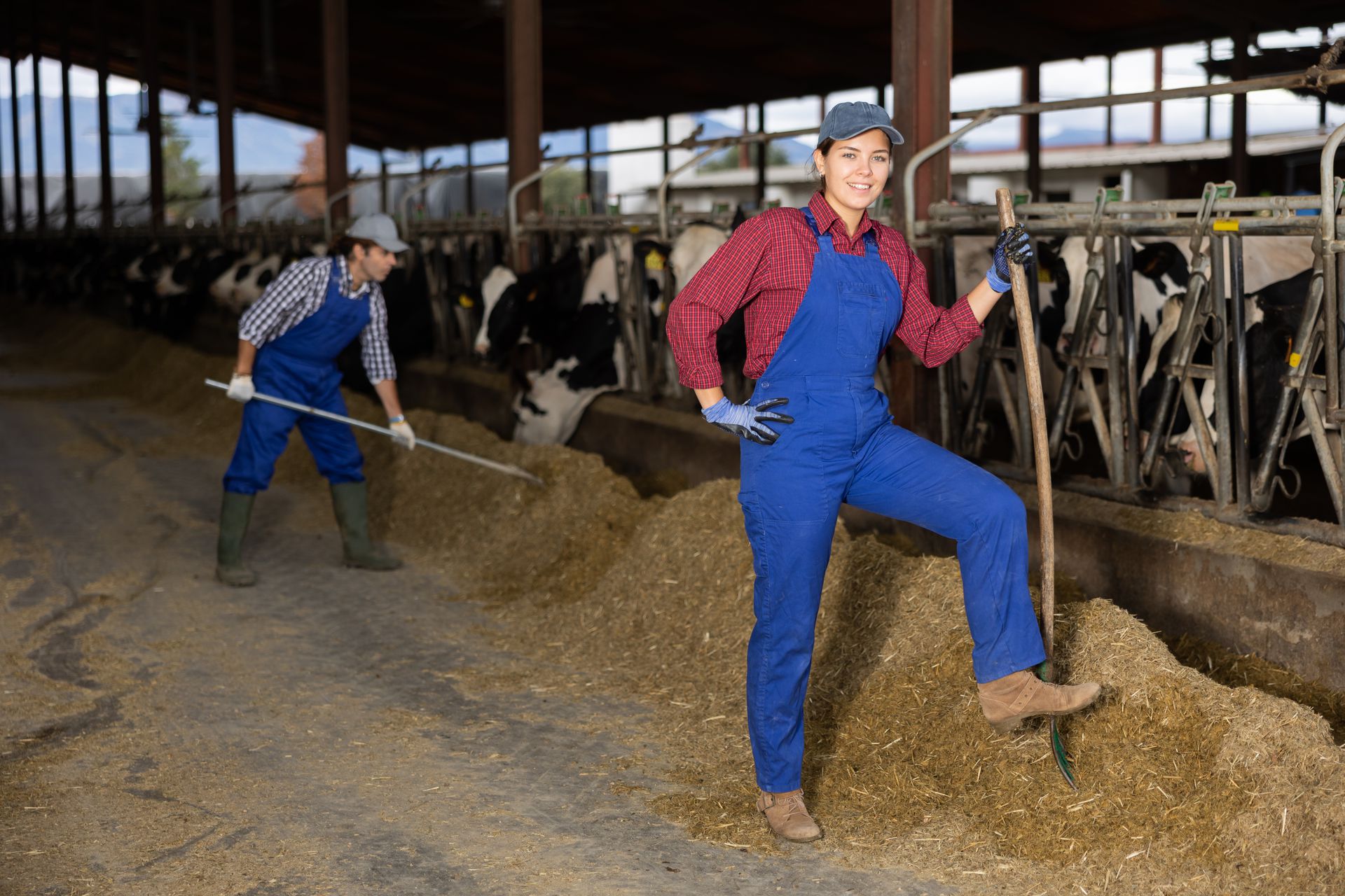 Intérêt d'une phase de salariat dans le parcours des actifs agricoles (2024)